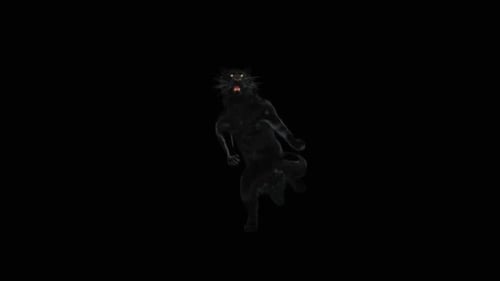Dynamic 3D Black Panther Running and Leaping Animation