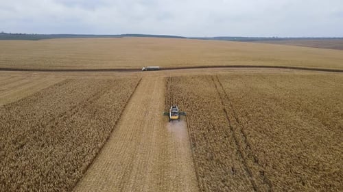 Rivne Ukraine November 23 2021