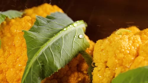 Blumenkohl mit Wassertropfen, schönes Makro-Video, schönes rohes Bio-Lebensmittelgemüse