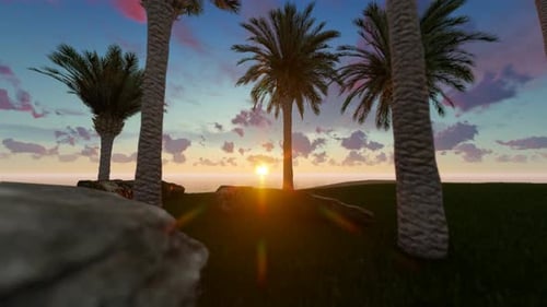 Palm Trees On The Beach At Sunset