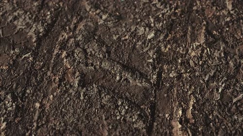 Wheel Tracks on Rough Road