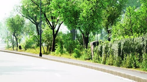 View of Empty Road with Lamp Post and Sunlight