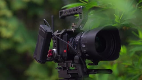 Camera Setup Against Green Foliage