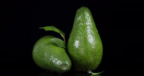 Rotating Fresh Green Avocado with Leaves