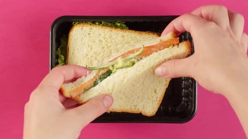 Hands Reveal Salmon Sandwich in Container