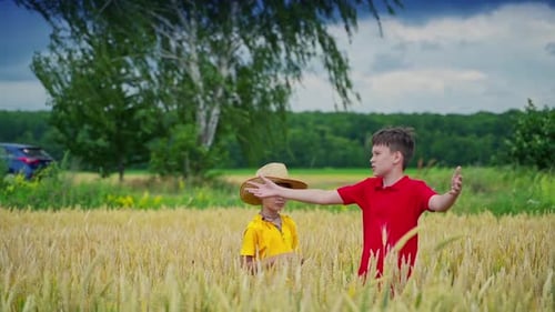 Young boys on wheat field. Portrait of two little boys in wheat field
