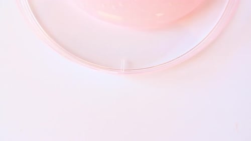 Pink Transparent Cosmetic Gel Cream With Molecule Bubbles Flowing On The Plain White Surface