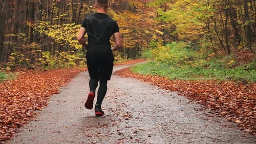 The Athlete is Running Along a Forest Road