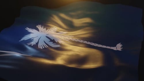 Waving Flag Animation with Palm Tree and Crescent Moon