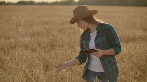 Young Woman Farmer Working with Tablet in Field at Sunset