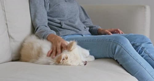 Woman Pets Sleeping Dog on Sofa Indoors