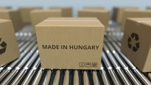 Boxes with MADE IN HUNGARY Text on Roller Conveyor