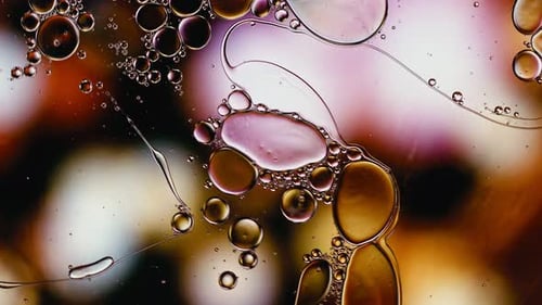 Abstract Oil and Water Mixture with Colorful Lights