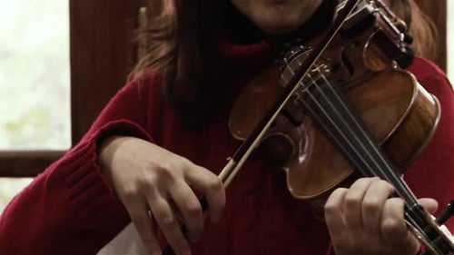 Live Music Performance with Guitar, Violin and Accordion