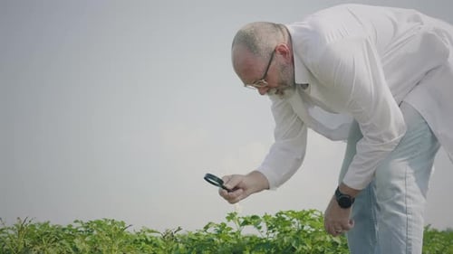 Scientist Inspecting Plants with Magnifying Glass Outdoors