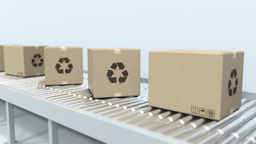 Moving Boxes on Warehouse Roller Conveyor