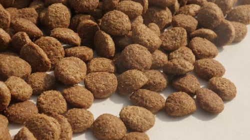 Slow pan cat or dog dry food close-up 4K 2160p 30fps UltraHD footage - Panning on healthy pet pellet