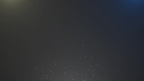 Animated Fluid Bubbles Abstract Motion Background