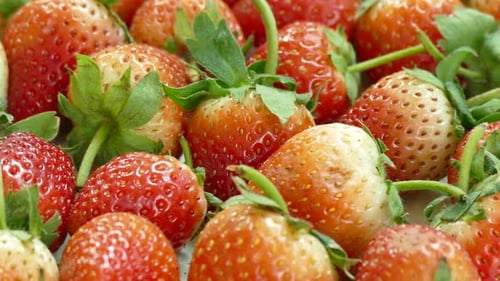 Red Strawberry fruit