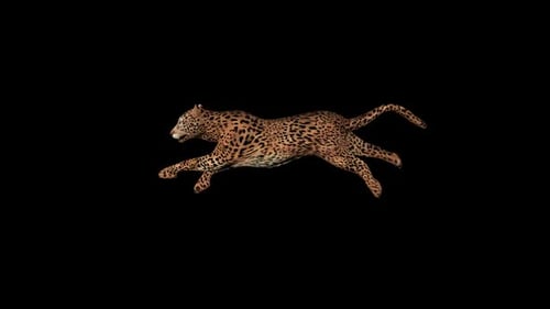 Cougar Run
