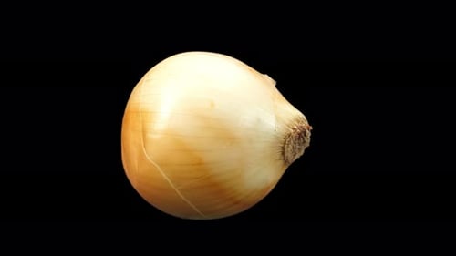 Onion Rotating With Alpha Channel