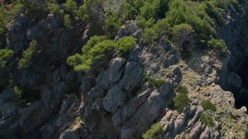 Drone Over Trees On Rocky Coastline With Clear Blue Sea