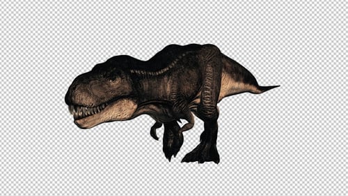 T Rex Walk