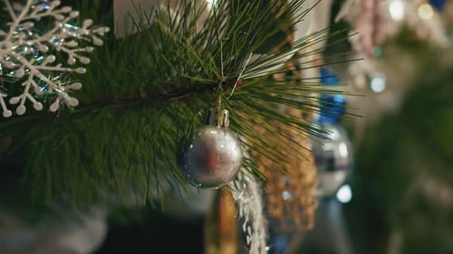 Christmas Tree Branch with Silver Bauble Close Up