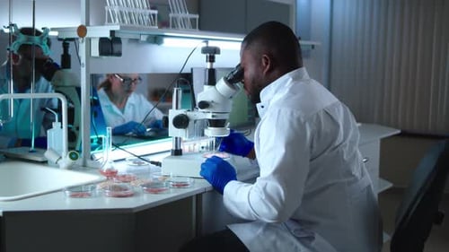 Scientist Examining Samples Under Microscope in Lab