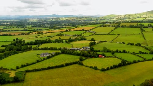 Lush Green Farmland Aerial View