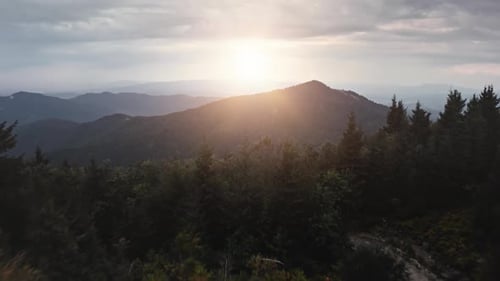 Sunset Path in Mountain Forest
