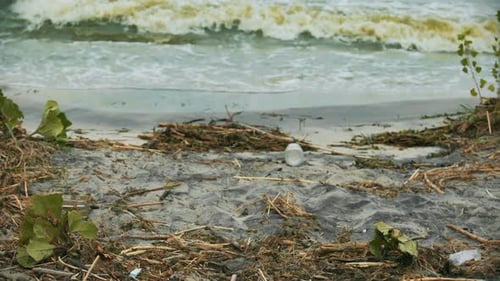Polluted Beach with Debris and Waves