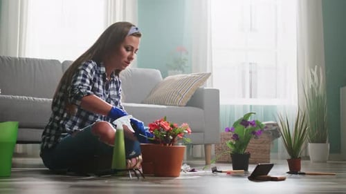 Woman tending potted plant in living room
