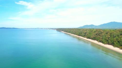 4K aerial view from a drone. Beautiful scenery of the coast with many pine trees.