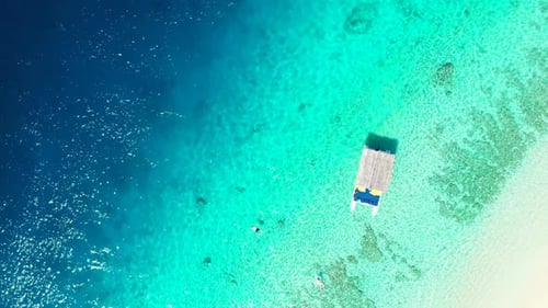 Aerial travel of idyllic tourist beach wildlife by clear sea with white sand background of a dayout