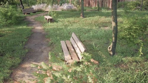 Beautiful Bench in the Park at Spring Sunny Day