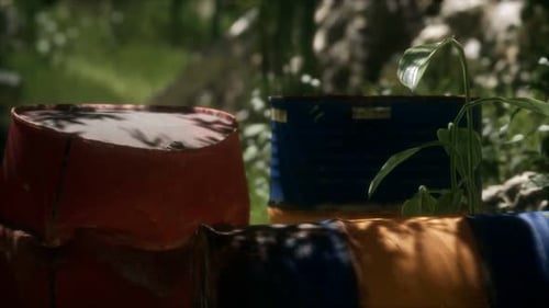 Rusty Barrels in Green Forest