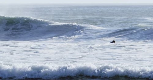 Surfers surfing in sea
