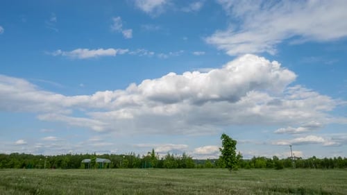 Timelapse Clouds Over a City Park