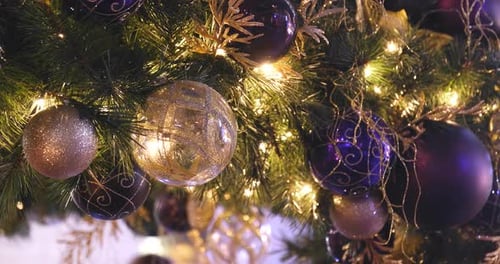 Close Up of Decorated Christmas Tree Branches
