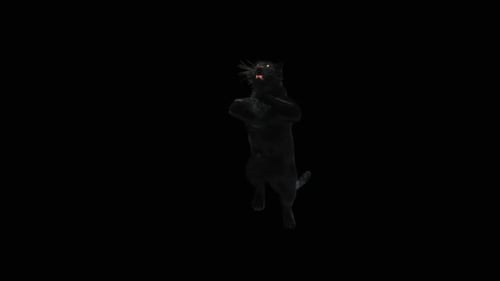 Black Panther Standing and Roaring Alpha Channel Animation