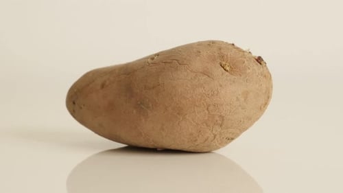 Single Potato on White Reflective Background