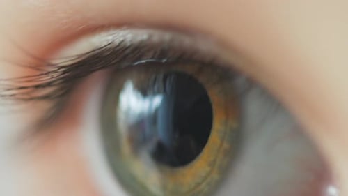 Child Girl Green Eye