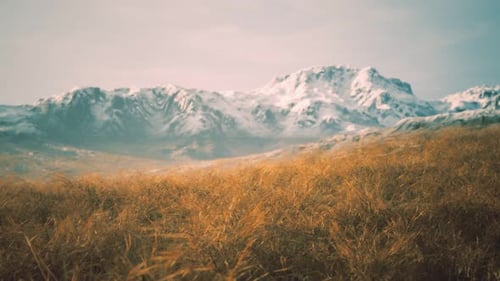 Dry Grass and Snow Covered Mountains in Alaska