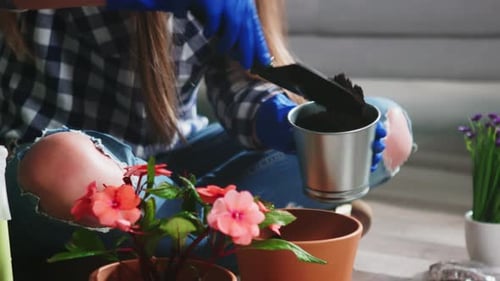 Woman Gardening with Flowers Inside her Home