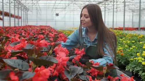 Woman Tending Flowers in Indoor Greenhouse