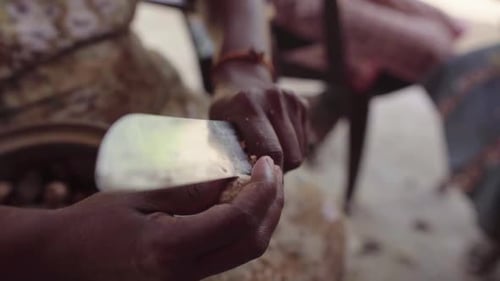 Village Woman Shaves Tree Nut 2
