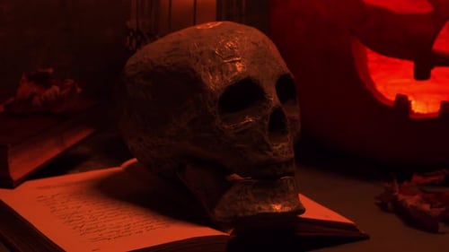 Skull, Pumpkin, and Open Book in Dark