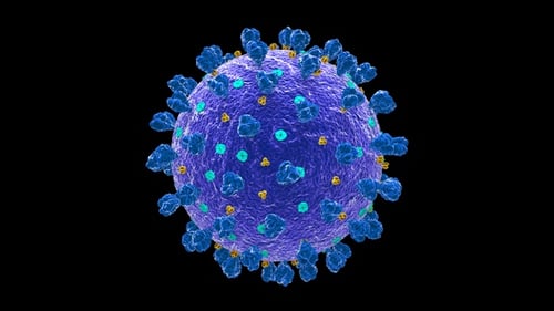 3D Medical Virus Model Rotating Microscopic View