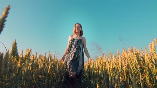 Woman Walking on a Field of Golden Wheat at Sunset Facing the Camera, A Woman Smiling and Touching